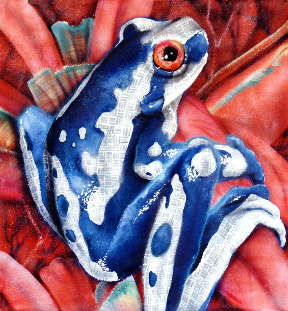 Winter Frog